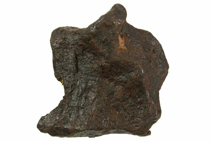 Canyon Diablo Iron Meteorite ( g) - Arizona #335959